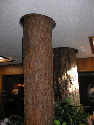 Tree in Pine Tavern Restaurant
