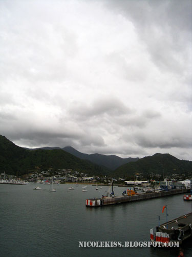 vertical view of picton harbour