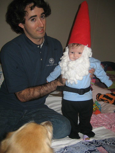 gnome costume. Hot glue gun, cotton balls, 2 pieces of felt, some thin white 