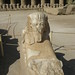 Temple of Karnak, sphinx in the First Court (2) by Prof. Mortel