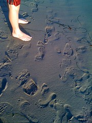 Beachprints