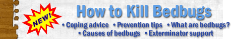 How to Kill Bedbugs