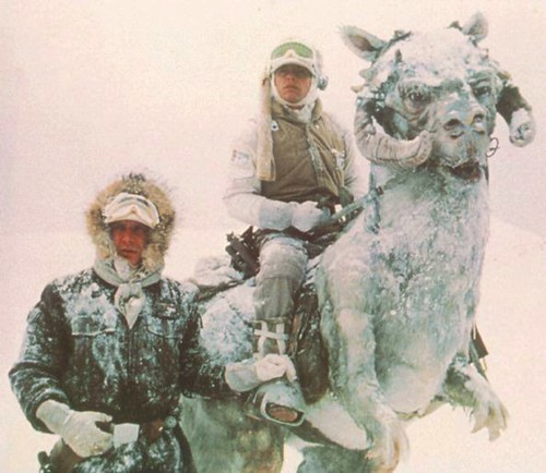 I couldnt, in good conscience, use a photo of a hobo, so heres one of a tauntaun. 