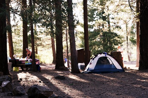 campsite 42