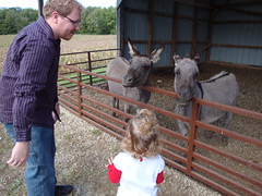 Dad & Lilliann Looking At Donkeys