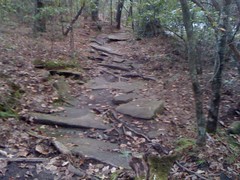  Cherokee Trail 5