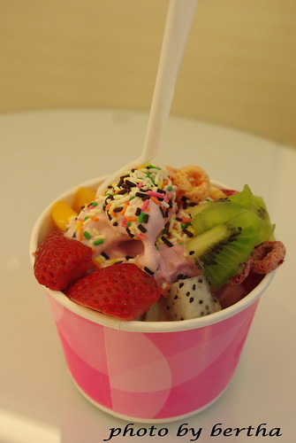 水果優格冰淇淋