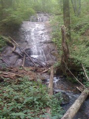  29 - Cane Creek Falls
