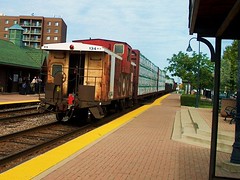 Westbound Canadian Pacific freight train with a former Soo Line caboose on the rear. Bensenville Illinois. August 2006.