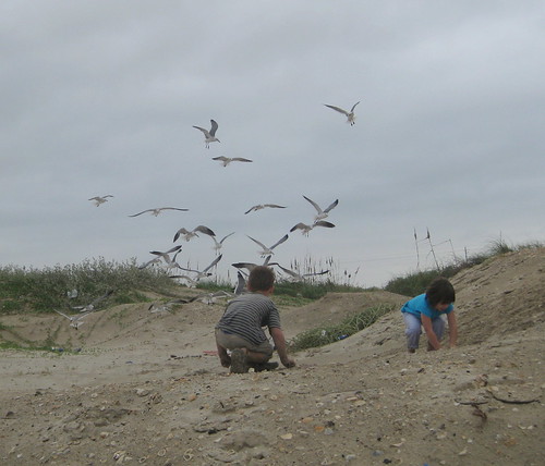 Playing in the sand while the seagulls swarmed