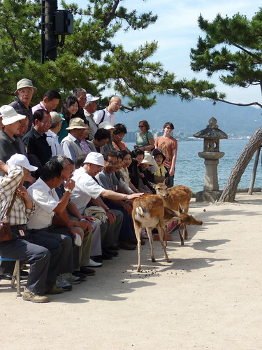 Japanese Tour Group at Miyajima Shrine