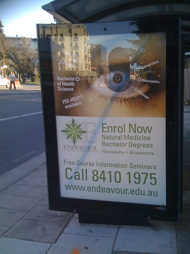 Endeavours bus stop advertising