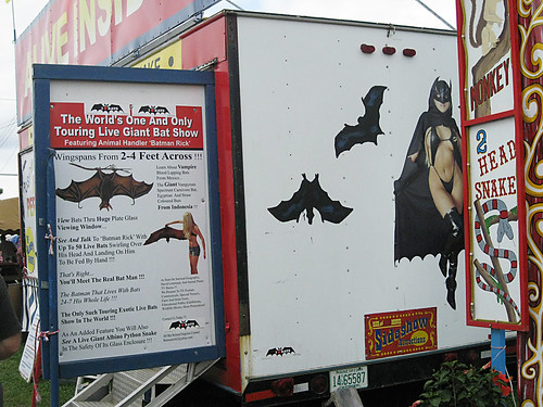 Westmoreland County Fair 2009:  Batgirl.