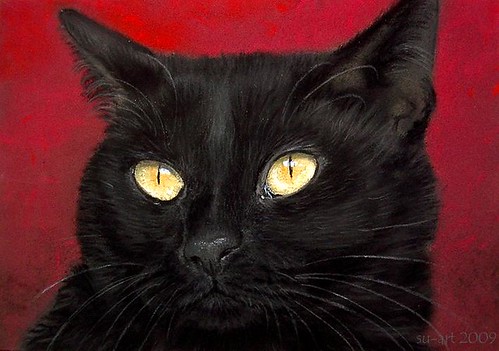 pastel / black cat von Nordlichter4.