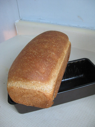 the loaf