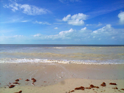 Celestún beach