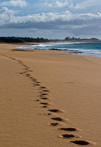 The Gratuitous Footprints In Sand Photo