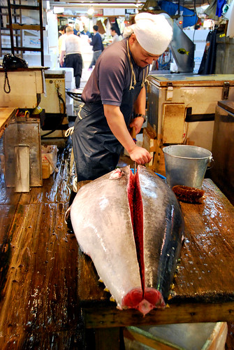 cutting tuna, tsukiji fish market