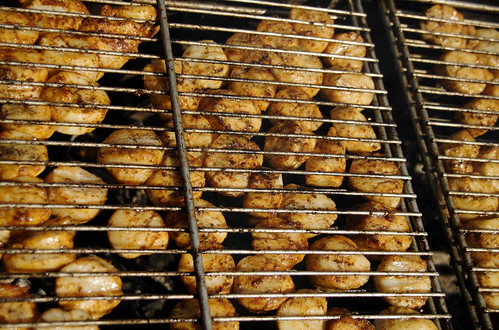 Scallops on the Grill