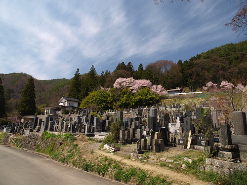 建福寺旁邊的墓園