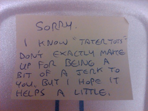 Sorry. I know tater tots don't exactly make up for being a bit of a jerk to you, but I hope it helps a little.