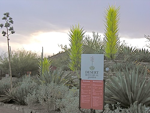 Entrance to Desert Botanical Garden with 3 Chihuly agave