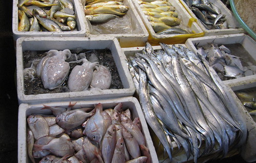Chengdu Fish Market