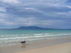 Lottie at Spring Beach; Maria Island in the background