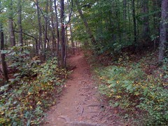  Cherokee Trail 4