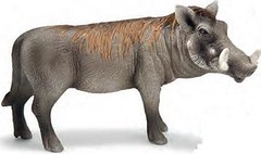 Warzenschwein Eber by Kiryuha180