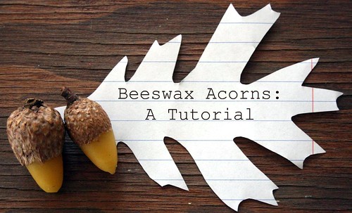 beeswax acorns tutorial