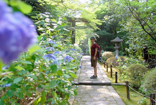 gardens of konchi-in, kyoto