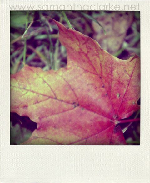 Fall.
