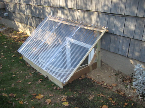 Window Well Cover