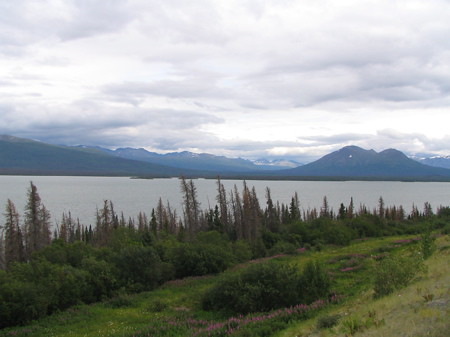 Dezadeash Lake on the way to Haines Alaska