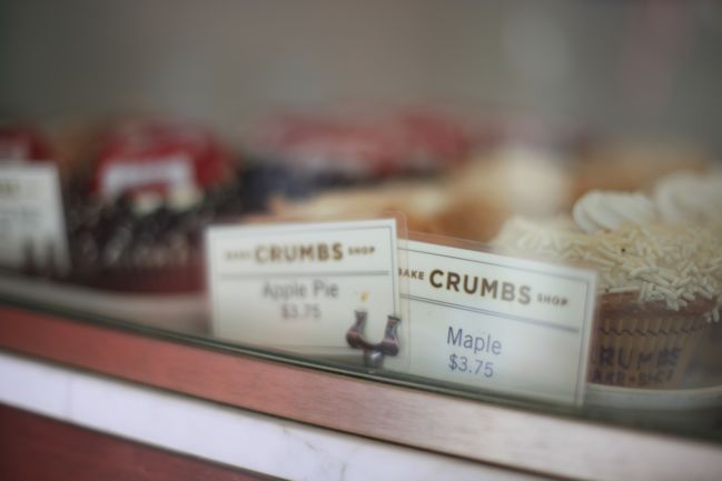 crumbs cupcake case