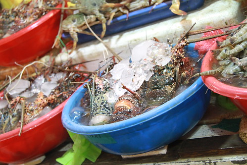 Fish Market - Langostas
