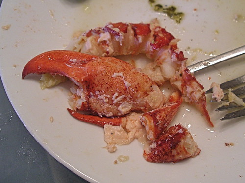 Lobster meat