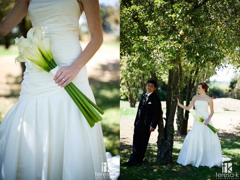Sacramento Wedding photographer, Ryde Hotel Wedding, Teresa K photography