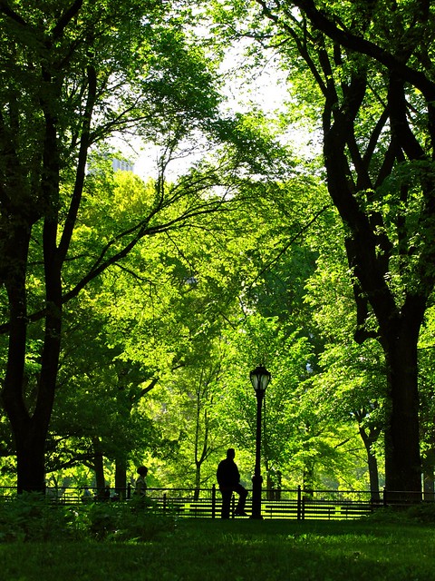 Central Park Silhouette Vertical