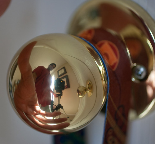 Day One Hundred Thirty-One:  Knobby Reflections