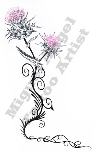 Scottish Thistle. Miguel Angel Custom Tattoo Artist