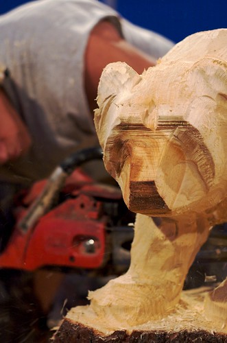 Chainsaw carving (3)