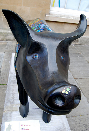 Pig in Clover: detail features