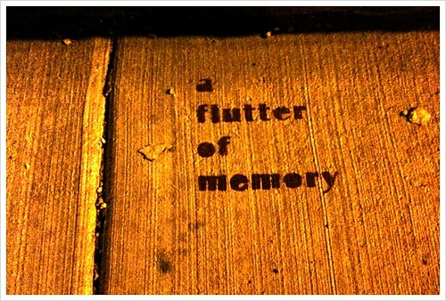 A flutter of memories