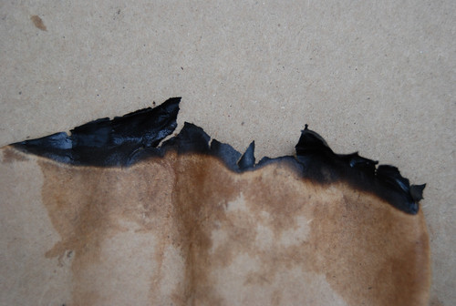 Burnt Paper Texture 08