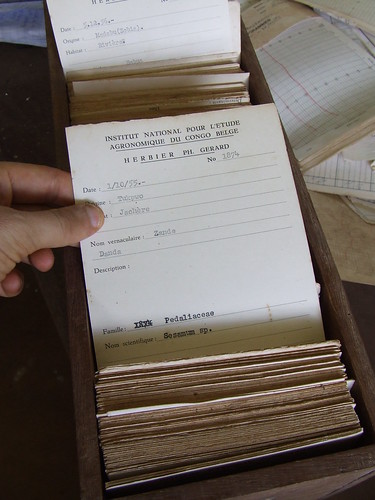 Herbarium labels from the 1950s