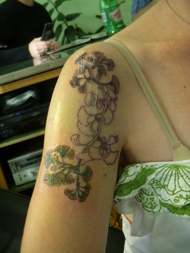 Finished Ginkgo biloba branch tattoo maybe