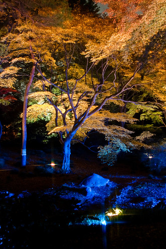 Rokugien Autumn Lightup-5