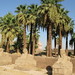 Temple of Luxor, Avenue of the Sphinxes (7) by Prof. Mortel